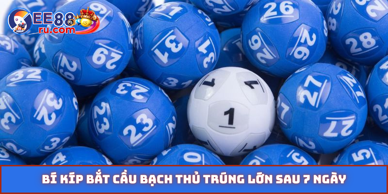Bí kíp bắt cầu bạch thủ trúng lớn sau 7 ngày