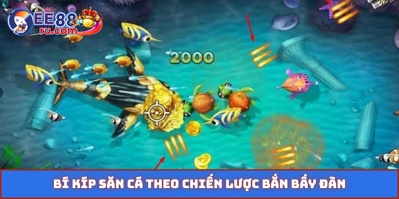 Bí kíp săn cá theo chiến lược bắn bầy đàn