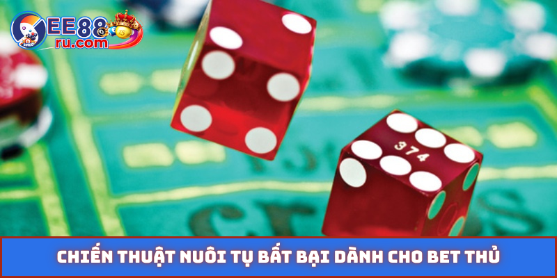 Chiến thuật nuôi tụ bất bại dành cho bet thủ