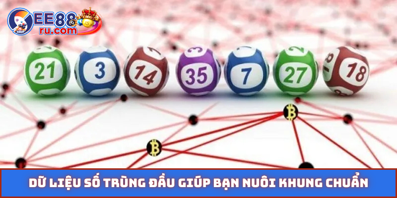 Dữ liệu số trùng đầu giúp bạn nuôi khung chuẩn