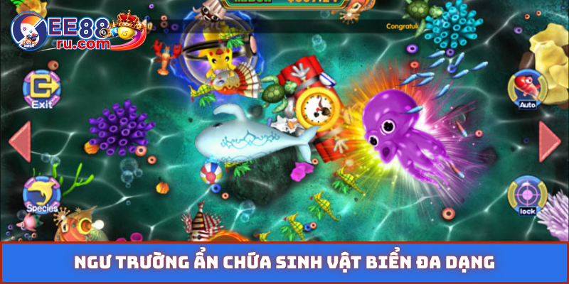 Ngư trường ẩn chứa sinh vật biển đa dạng